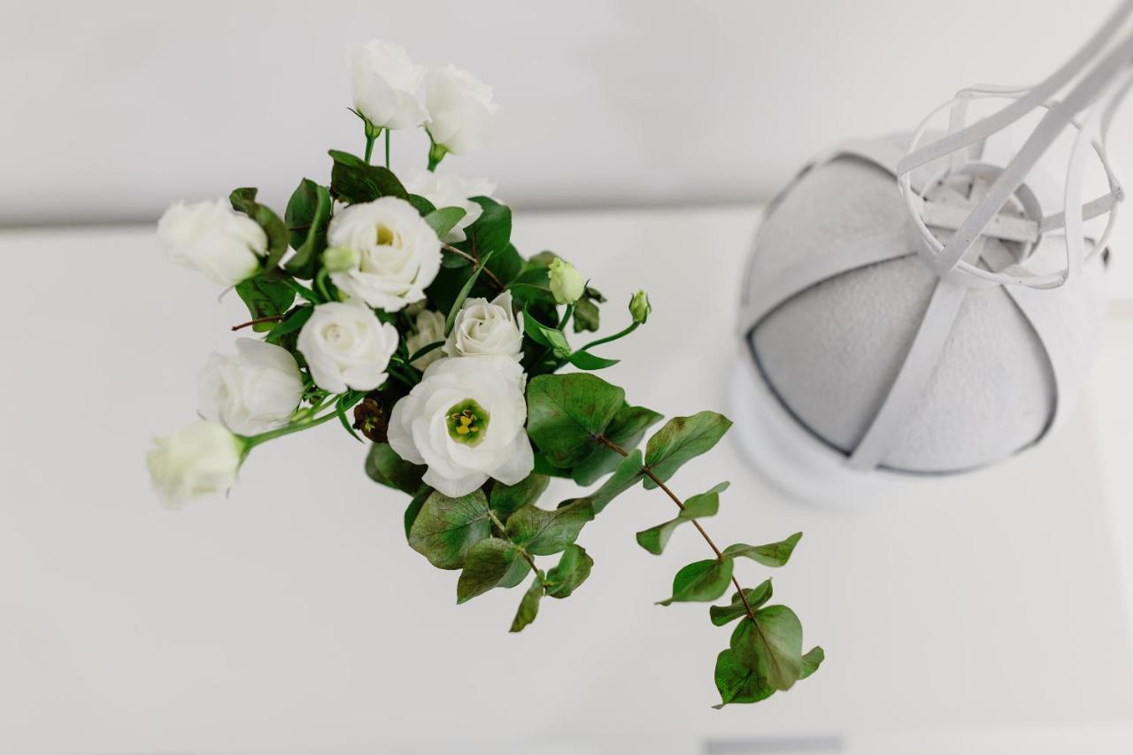 White Stylish Apartment 3 비코에쿠엔세 외부 사진